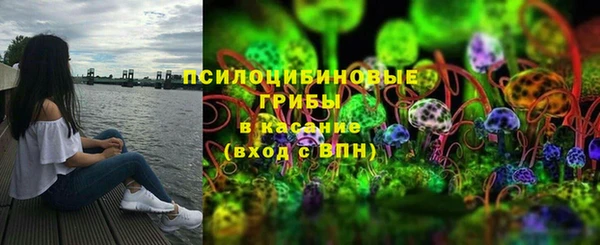 apvp Алексеевка