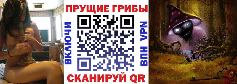 kraken рабочий сайт площадка состав Галлюциногенные грибы GOLDEN TEACHER Тольятти